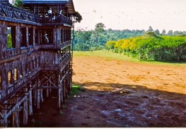 The Treetops hotel facing the lake.
