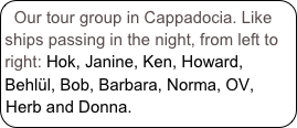 Our tour group in Cappadocia. Like ships passing in the night, from left to right: Hok, Janine, Ken, Howard, Behlül, Bob, Barbara, Norma, OV, Herb and Donna.